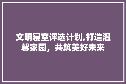 文明寝室评选计划,打造温馨家园，共筑美好未来