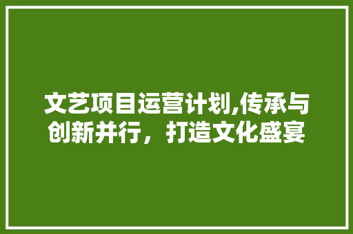 文艺项目运营计划,传承与创新并行，打造文化盛宴