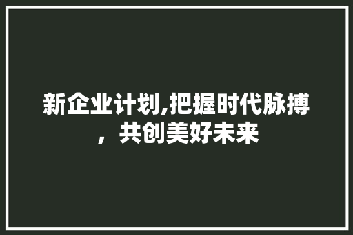 新企业计划,把握时代脉搏，共创美好未来