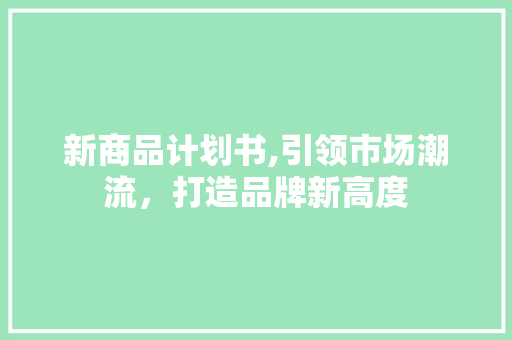 新商品计划书,引领市场潮流，打造品牌新高度