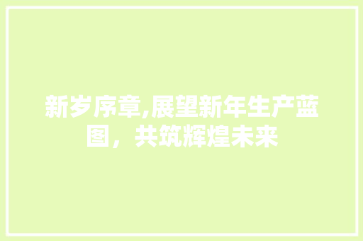 新岁序章,展望新年生产蓝图，共筑辉煌未来