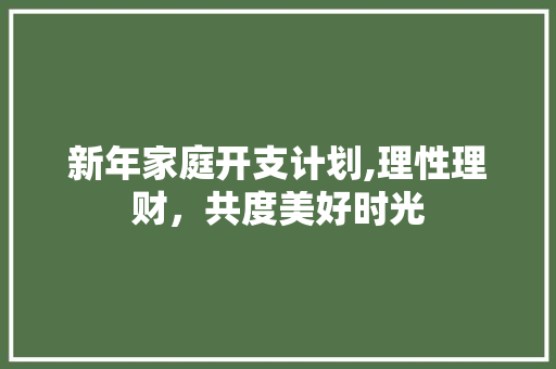 新年家庭开支计划,理性理财，共度美好时光