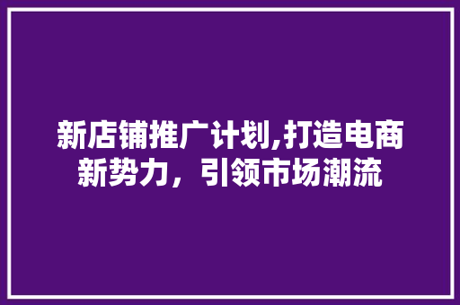 新店铺推广计划,打造电商新势力，引领市场潮流