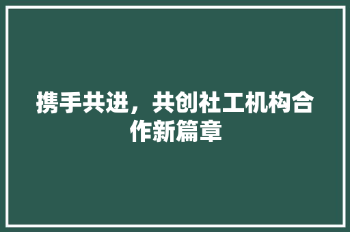 携手共进，共创社工机构合作新篇章