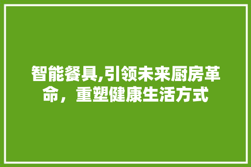 智能餐具,引领未来厨房革命，重塑健康生活方式