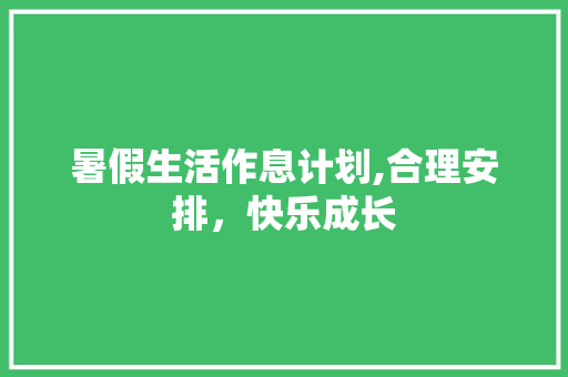 暑假生活作息计划,合理安排，快乐成长