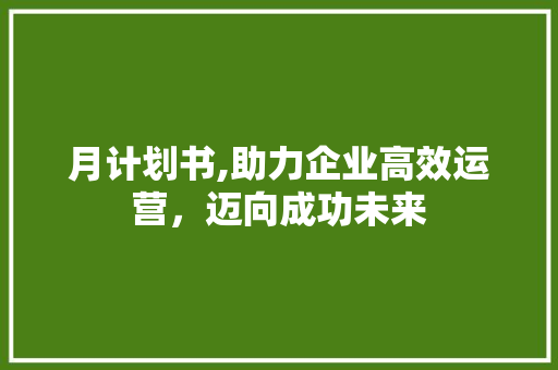 月计划书,助力企业高效运营，迈向成功未来