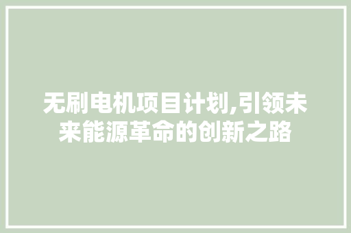 无刷电机项目计划,引领未来能源革命的创新之路