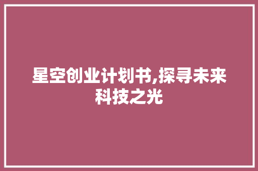 星空创业计划书,探寻未来科技之光