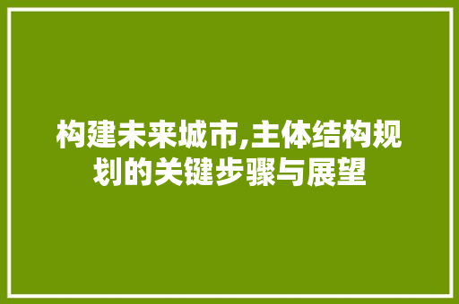 构建未来城市,主体结构规划的关键步骤与展望