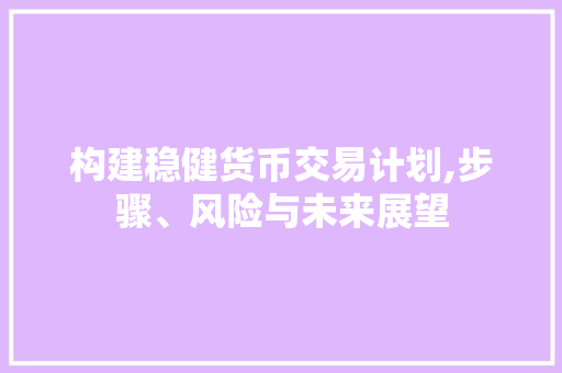 构建稳健货币交易计划,步骤、风险与未来展望