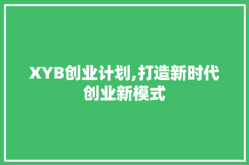 XYB创业计划,打造新时代创业新模式