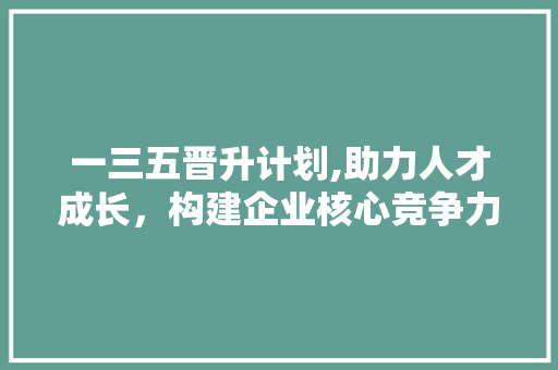 一三五晋升计划,助力人才成长，构建企业核心竞争力