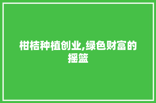 柑桔种植创业,绿色财富的摇篮