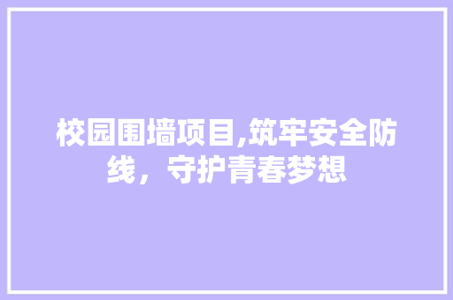 校园围墙项目,筑牢安全防线，守护青春梦想
