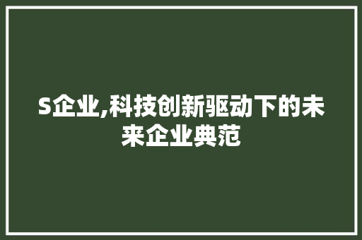 S企业,科技创新驱动下的未来企业典范
