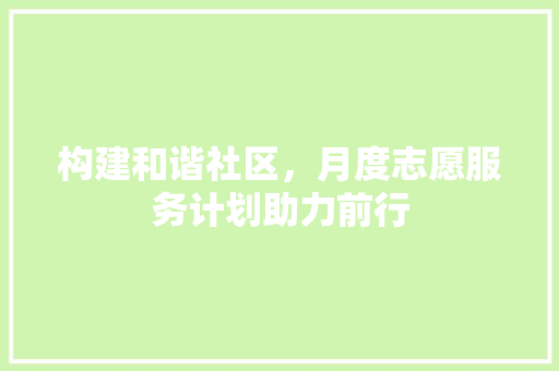 构建和谐社区，月度志愿服务计划助力前行