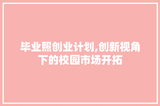 毕业照创业计划,创新视角下的校园市场开拓