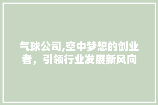 气球公司,空中梦想的创业者，引领行业发展新风向