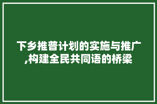 下乡推普计划的实施与推广,构建全民共同语的桥梁