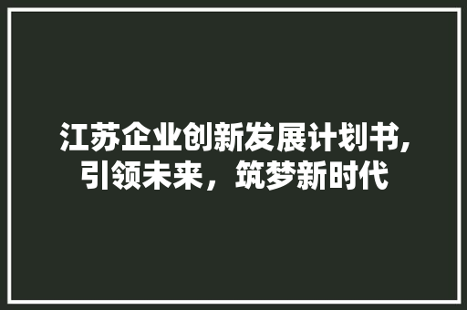 江苏企业创新发展计划书,引领未来，筑梦新时代