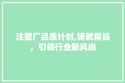 注塑厂品质计划,铸就精品，引领行业新风尚