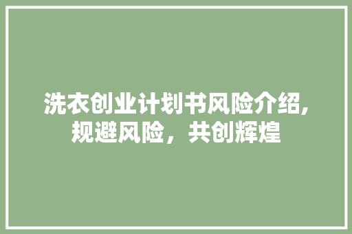 洗衣创业计划书风险介绍,规避风险，共创辉煌