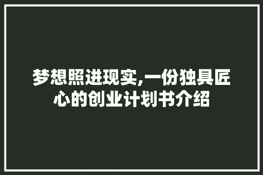 梦想照进现实,一份独具匠心的创业计划书介绍