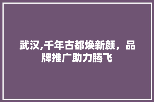 武汉,千年古都焕新颜，品牌推广助力腾飞