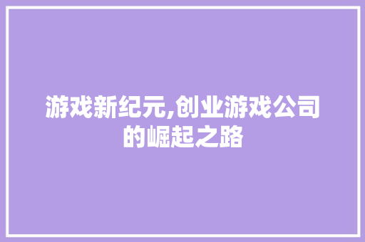 游戏新纪元,创业游戏公司的崛起之路