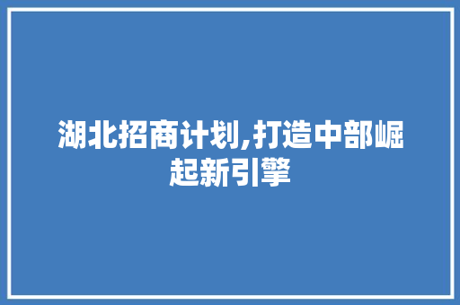 湖北招商计划,打造中部崛起新引擎