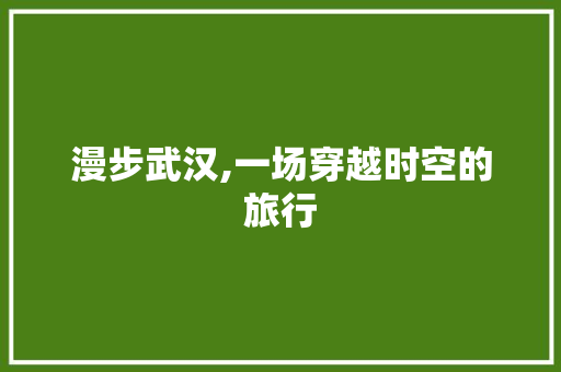 漫步武汉,一场穿越时空的旅行