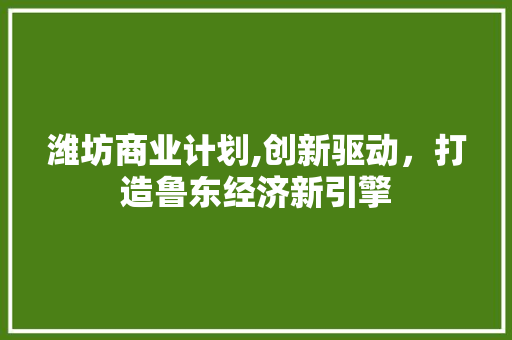 潍坊商业计划,创新驱动，打造鲁东经济新引擎