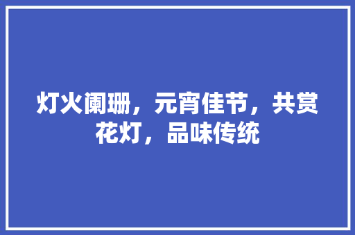 灯火阑珊，元宵佳节，共赏花灯，品味传统