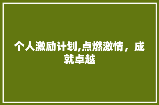 个人激励计划,点燃激情，成就卓越