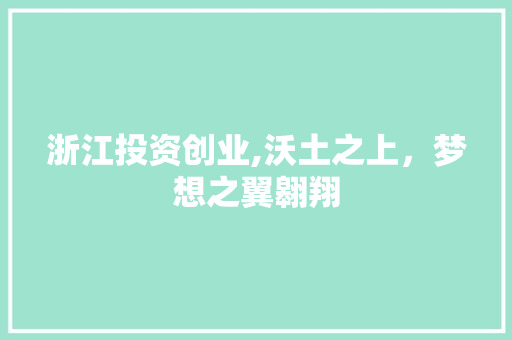 浙江投资创业,沃土之上，梦想之翼翱翔