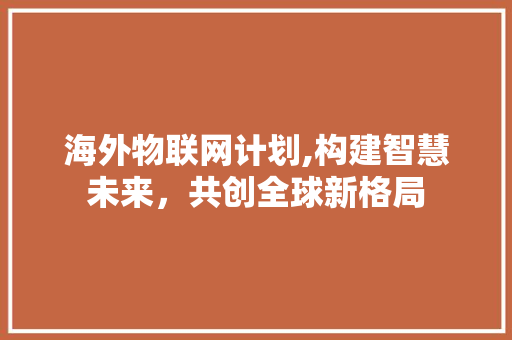 海外物联网计划,构建智慧未来，共创全球新格局
