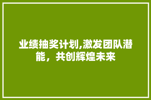 业绩抽奖计划,激发团队潜能，共创辉煌未来