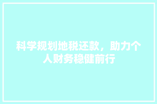 科学规划地税还款，助力个人财务稳健前行
