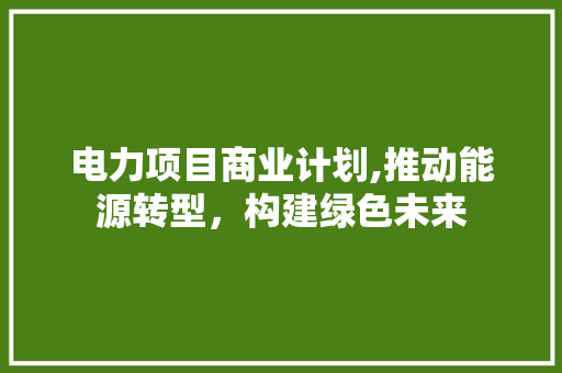 电力项目商业计划,推动能源转型，构建绿色未来
