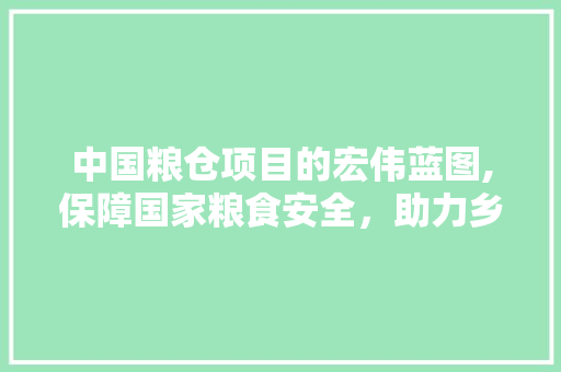 中国粮仓项目的宏伟蓝图,保障国家粮食安全，助力乡村振兴