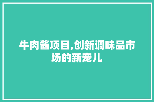 牛肉酱项目,创新调味品市场的新宠儿