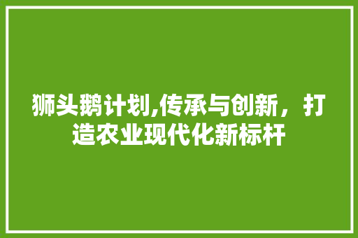 狮头鹅计划,传承与创新，打造农业现代化新标杆