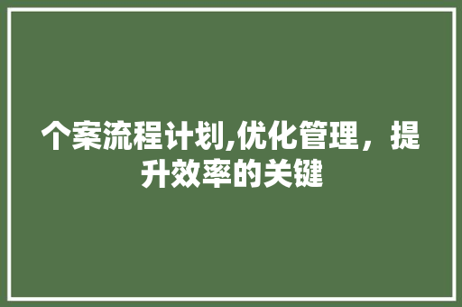 个案流程计划,优化管理，提升效率的关键