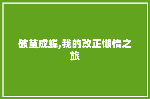 破茧成蝶,我的改正懒惰之旅