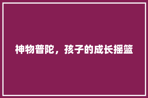 神物普陀，孩子的成长摇篮