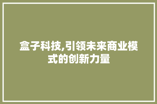 盒子科技,引领未来商业模式的创新力量
