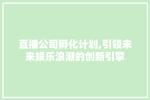 直播公司孵化计划,引领未来娱乐浪潮的创新引擎