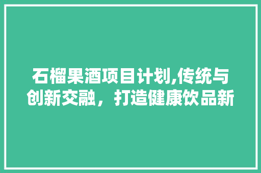 石榴果酒项目计划,传统与创新交融，打造健康饮品新潮流