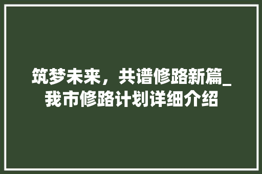 筑梦未来，共谱修路新篇_我市修路计划详细介绍
